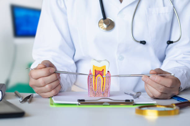 Best Emergency Broken Tooth Repair in St Marys, WV